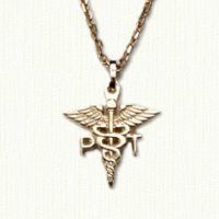 PT Caduceus in 14KY gold